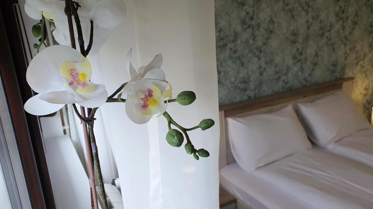 Apartments Spring Τσάτσακ Εξωτερικό φωτογραφία